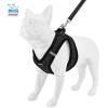 imageVoyager Stepin Plush Dog Harness  Soft Plush Step in Vest Harness and Reflective Dog 5 ft Leash Combo with Neoprene Handle for Small and Medium Dogs by Best Pet Supplies Set Red Corduroy XSHarness Leash Set Black Plush