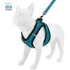 imageVoyager Stepin Plush Dog Harness  Soft Plush Step in Vest Harness and Reflective Dog 5 ft Leash Combo with Neoprene Handle for Small and Medium Dogs by Best Pet Supplies Set Red Corduroy XSHarness Leash Set Turquoise Plush