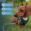 imageVoyager Stepin Plush Dog Harness  Soft Plush Step in Vest Harness and Reflective Dog 5 ft Leash Combo with Neoprene Handle for Small and Medium Dogs by Best Pet Supplies Set Red Corduroy XSHarness Leash Set Turquoise Plush