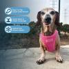 imageVoyager Stepin Plush Dog Harness  Soft Plush Step in Vest Harness and Reflective Dog 5 ft Leash Combo with Neoprene Handle for Small and Medium Dogs by Best Pet Supplies Set Red Corduroy XSHarness Leash Set Fuchsia Corduroy