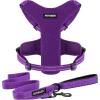 Harness Leash Set (Purple Mesh)