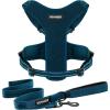 imageAir Frontier Mesh Dog Harness with and Reflective Dog Leash Set Reflective Stitching and Lightweight Breathable NoPull Design Adjustable Neck and Chest Straps for Small to Large Breeds  RDW MHarness Leash Set Blue Mesh