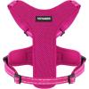 Harness (Fuchsia Mesh)