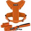 Harness Leash Set (Orange Mesh)