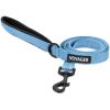 Leash (Baby Blue)