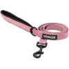 Leash (Pink)