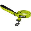 Leash (Lime Green)