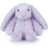 Bunny (Purple)