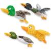 Duck (Mystery Box)
