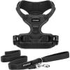Harness Leash Set (Black Nylon)