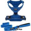 imageVoyager Dog Harness Dual Leash Attachment NoPull Control Adjustable Soft but Strong Pet Harness for Medium and Large Dogs with 3M Reflective Technology  Harness Leash Set Royal Blue Lattice MHarness Leash Set Royal Nylon