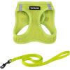 Lime Green