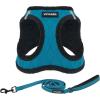 Harness Leash Set (Turquoise Plush)