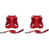Harness Leash Set (Red Corduroy)