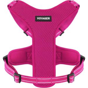 imageAir Frontier Mesh Dog Harness with and Reflective Dog Leash Set Reflective Stitching and Lightweight Breathable NoPull Design Adjustable Neck and Chest Straps for Small to Large Breeds  RDW MHarness Fuchsia Mesh
