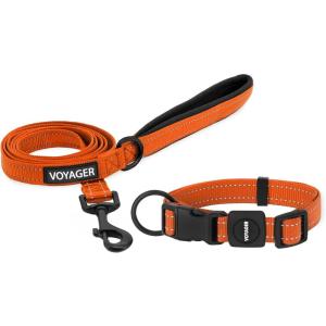 imageBest Pet Supplies Reflective Dog Collar with Adjustable Length HeavyDuty Buckle and Strong Leash DRing Training Walking Jogging Accessory for Small Medium and Large Breeds  Purple MLeash Collar Set Orange