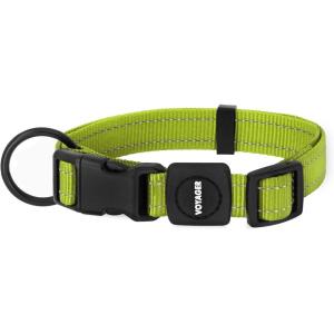 imageBest Pet Supplies Reflective Dog Collar with Adjustable Length HeavyDuty Buckle and Strong Leash DRing Training Walking Jogging Accessory for Small Medium and Large Breeds  Purple MCollar Lime Green