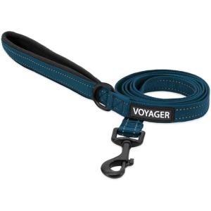 imageBest Pet Supplies Reflective Dog Collar with Adjustable Length HeavyDuty Buckle and Strong Leash DRing Training Walking Jogging Accessory for Small Medium and Large Breeds  Purple MBlue