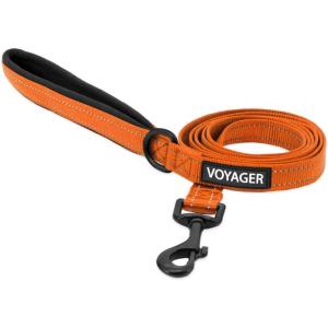 imageBest Pet Supplies Reflective Dog Collar with Adjustable Length HeavyDuty Buckle and Strong Leash DRing Training Walking Jogging Accessory for Small Medium and Large Breeds  Purple MLeash Orange