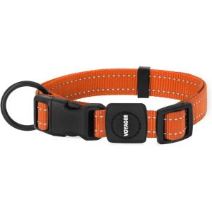 imageBest Pet Supplies Reflective Dog Collar with Adjustable Length HeavyDuty Buckle and Strong Leash DRing Training Walking Jogging Accessory for Small Medium and Large Breeds  Purple MCollar Orange