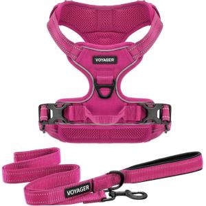 imageVoyager Dog Harness Dual Leash Attachment NoPull Control Adjustable Soft but Strong Pet Harness for Medium and Large Dogs with 3M Reflective Technology  Harness Leash Set Royal Blue Lattice MHarness Leash Set Fuchsia Nylon