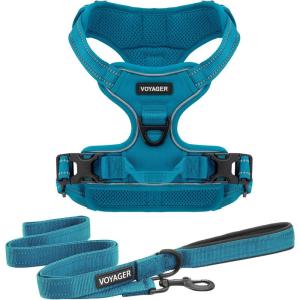 imageVoyager Dog Harness Dual Leash Attachment NoPull Control Adjustable Soft but Strong Pet Harness for Medium and Large Dogs with 3M Reflective Technology  Harness Leash Set Royal Blue Lattice MHarness Leash Set Turquoise Nylon