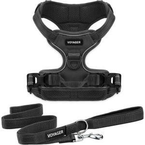 imageVoyager Dog Harness Dual Leash Attachment NoPull Control Adjustable Soft but Strong Pet Harness for Medium and Large Dogs with 3M Reflective Technology  Harness Leash Set Royal Blue Lattice MHarness Leash Set Black Nylon