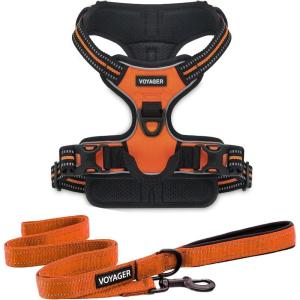imageVoyager Dog Harness Dual Leash Attachment NoPull Control Adjustable Soft but Strong Pet Harness for Medium and Large Dogs with 3M Reflective Technology  Harness Leash Set Royal Blue Lattice MHarness Leash Set Orange Nylon