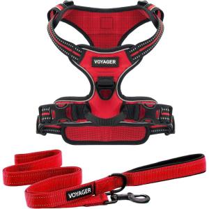 imageVoyager Dog Harness Dual Leash Attachment NoPull Control Adjustable Soft but Strong Pet Harness for Medium and Large Dogs with 3M Reflective Technology  Harness Leash Set Royal Blue Lattice MHarness Leash Set Red Nylon
