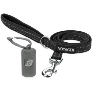 imageVoyager Reflective Dog Leash with Neoprene Handle 5 FT and Reusable Plastic Dispenser Poop Bag Holder Set for Walking and Outdoor Use Soft and Durable with ClipOn  Orange Orange DispenserLeash Dispenser Set Gray