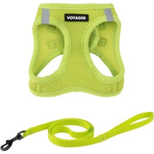 imageVoyager Stepin Air Cat Leash Harness Set  All Weather Mesh Step in Vest Harness for Small and Large Cats by Best Pet Supplies  Fuchsia XXS Chest 12135quotLime Green