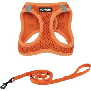 imageVoyager Stepin Air Cat Leash Harness Set  All Weather Mesh Step in Vest Harness for Small and Large Cats by Best Pet Supplies  Fuchsia XXS Chest 12135quotOrange