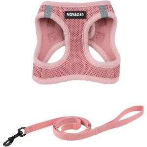 imageVoyager Stepin Air Cat Leash Harness Set  All Weather Mesh Step in Vest Harness for Small and Large Cats by Best Pet Supplies  Fuchsia XXS Chest 12135quotPink