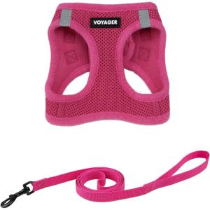imageVoyager Stepin Air Cat Leash Harness Set  All Weather Mesh Step in Vest Harness for Small and Large Cats by Best Pet Supplies  Fuchsia XXS Chest 12135quotFuchsia