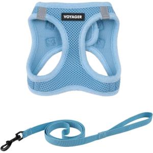 imageVoyager Stepin Air Cat Leash Harness Set  All Weather Mesh Step in Vest Harness for Small and Large Cats by Best Pet Supplies  Fuchsia XXS Chest 12135quotBaby Blue