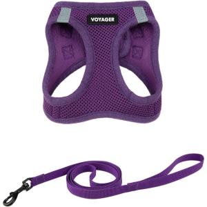 imageVoyager Stepin Air Cat Leash Harness Set  All Weather Mesh Step in Vest Harness for Small and Large Cats by Best Pet Supplies  Fuchsia XXS Chest 12135quotPurple