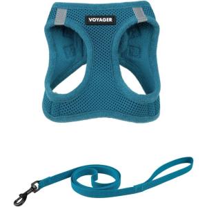 imageVoyager Stepin Air Cat Leash Harness Set  All Weather Mesh Step in Vest Harness for Small and Large Cats by Best Pet Supplies  Fuchsia XXS Chest 12135quotTurquoise