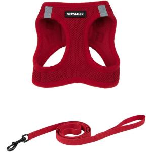 imageVoyager Stepin Air Cat Leash Harness Set  All Weather Mesh Step in Vest Harness for Small and Large Cats by Best Pet Supplies  Fuchsia XXS Chest 12135quotRed