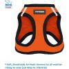 imageBest Pet Supplies  All Weather Mesh Reflective No Pull Harness for Small Medium Dogs Cats  Secure with Hook ampamp Loop Fastener Buckle Double DRings  Blue Trim MLeash Harness Set Orange Base