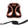 imageBest Pet Supplies  All Weather Mesh Reflective No Pull Harness for Small Medium Dogs Cats  Secure with Hook ampamp Loop Fastener Buckle Double DRings  Blue Trim MLeash Harness Set Orange