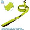 imageBest Pet Supplies  All Weather Mesh Reflective No Pull Harness for Small Medium Dogs Cats  Secure with Hook ampamp Loop Fastener Buckle Double DRings  Blue Trim MLeash Harness Set Lime
