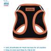 imageBest Pet Supplies  All Weather Mesh Reflective No Pull Harness for Small Medium Dogs Cats  Secure with Hook ampamp Loop Fastener Buckle Double DRings  Blue Trim MLeash Harness Set Orange