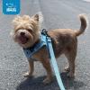 imageBest Pet Supplies  All Weather Mesh Reflective No Pull Harness for Small Medium Dogs Cats  Secure with Hook ampamp Loop Fastener Buckle Double DRings  Blue Trim MLeash Harness Set Army Base