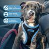 imageBest Pet Supplies  All Weather Mesh Reflective No Pull Harness for Small Medium Dogs Cats  Secure with Hook ampamp Loop Fastener Buckle Double DRings  Blue Trim MHarness Blue Trim