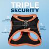 imageBest Pet Supplies  All Weather Mesh Reflective No Pull Harness for Small Medium Dogs Cats  Secure with Hook ampamp Loop Fastener Buckle Double DRings  Blue Trim MHarness Orange Trim