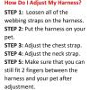 imageBest Pet Supplies  All Weather Mesh Reflective No Pull Harness for Small Medium Dogs Cats  Secure with Hook ampamp Loop Fastener Buckle Double DRings  Blue Trim MLeash Harness Set Blue Base
