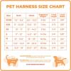 imageBest Pet Supplies  All Weather Mesh Reflective No Pull Harness for Small Medium Dogs Cats  Secure with Hook ampamp Loop Fastener Buckle Double DRings  Blue Trim MLeash Harness Set Lime