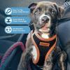 imageBest Pet Supplies  All Weather Mesh Reflective No Pull Harness for Small Medium Dogs Cats  Secure with Hook ampamp Loop Fastener Buckle Double DRings  Blue Trim MHarness Orange Trim