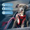 imageBest Pet Supplies  All Weather Mesh Reflective No Pull Harness for Small Medium Dogs Cats  Secure with Hook ampamp Loop Fastener Buckle Double DRings  Blue Trim MHarness Red Trim