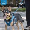 imageBest Pet Supplies  All Weather Mesh Reflective No Pull Harness for Small Medium Dogs Cats  Secure with Hook ampamp Loop Fastener Buckle Double DRings  Blue Trim MLeash Harness Set Blue Base